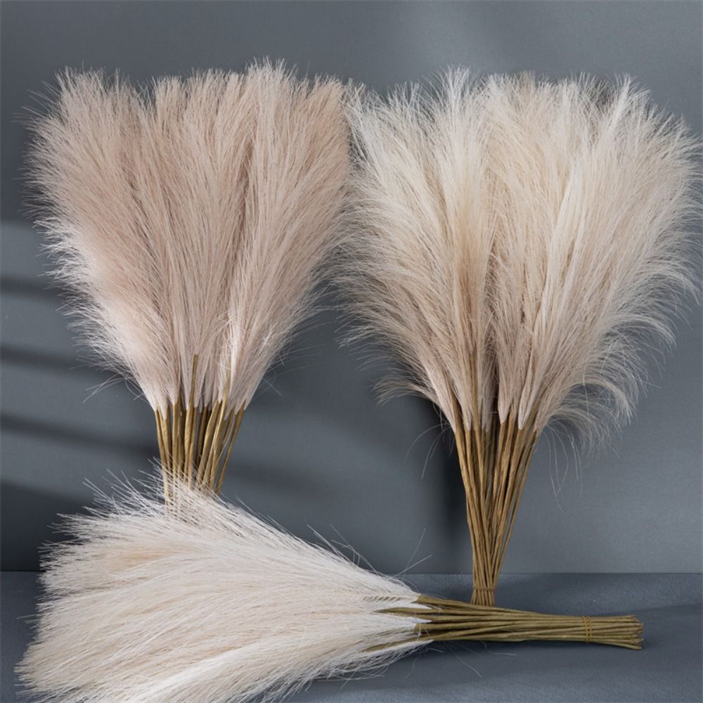 Pampas Grass Decor - 10 pezzi/set, decorazioni per la casa,