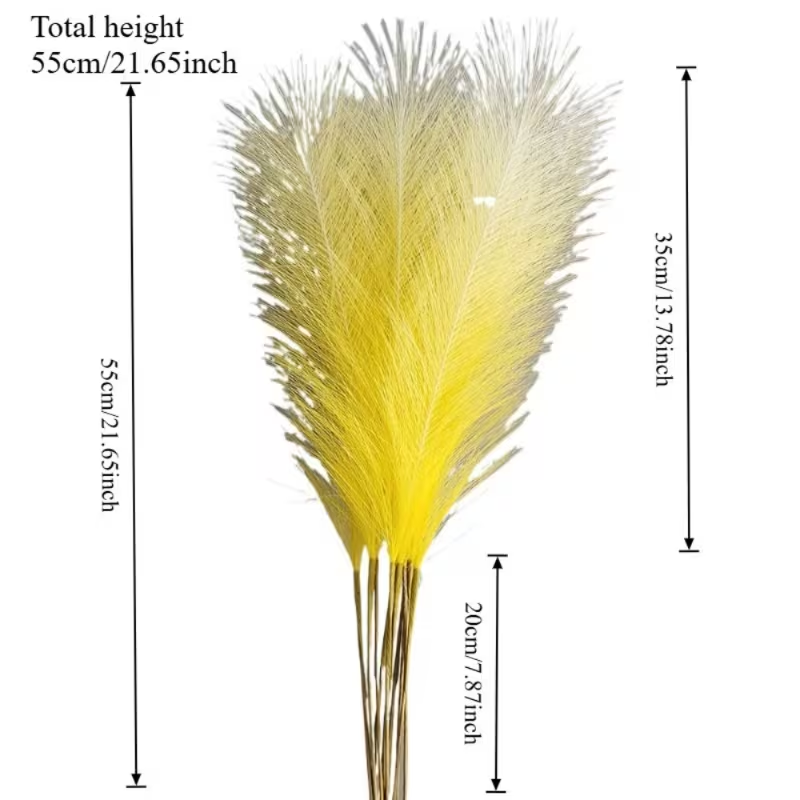 10 pezzi di erba della pampa a - Pampas Grass Decor recensione e prezzo
